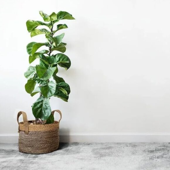 (Set of x3) Round Handled Baskets - Jute/Cotton Baskets for Linens / Plants - Picture 1 of 8